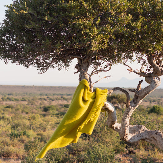 Fever Tree Mohair Blanket