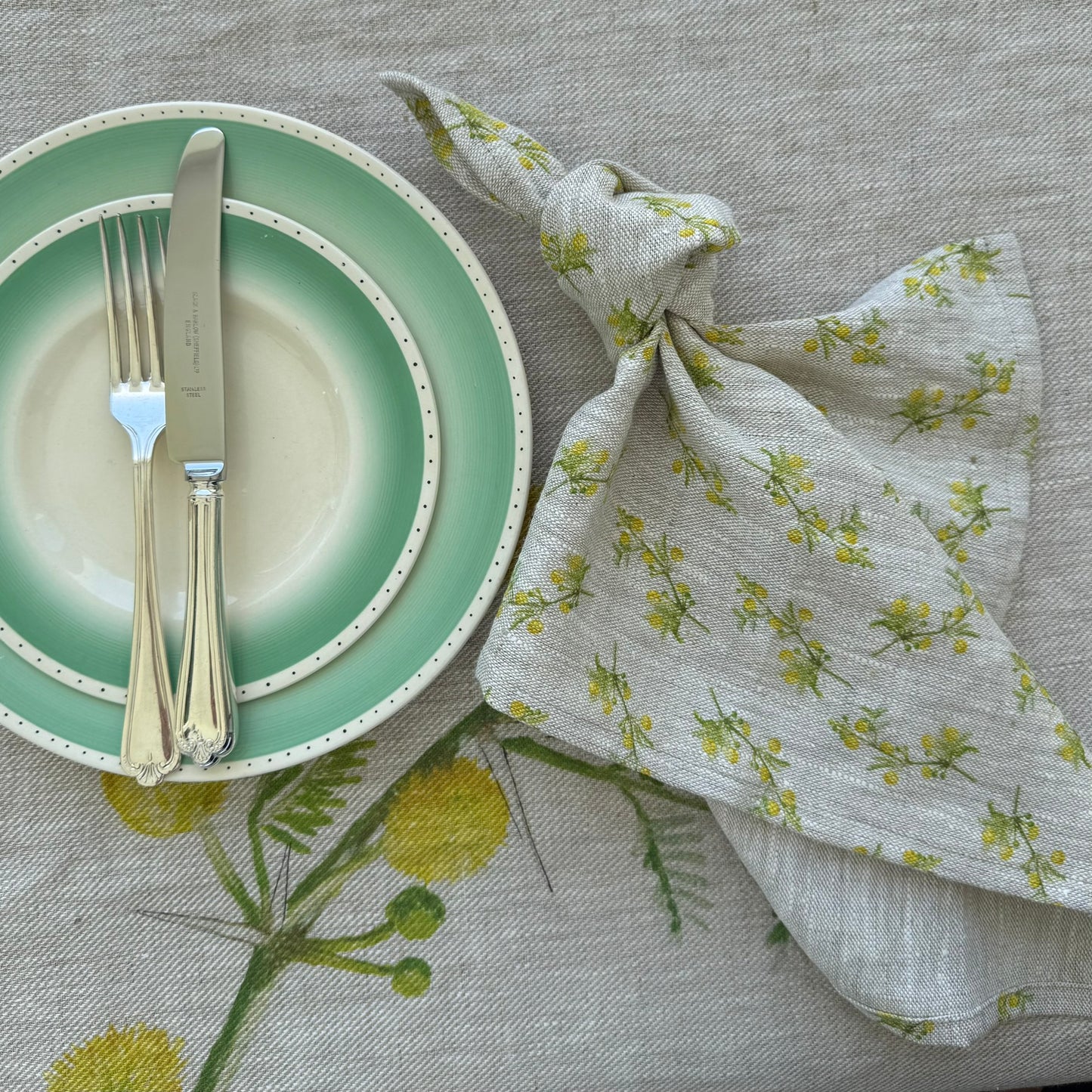 Acacia Karoo Linen Napkins - Set of 4