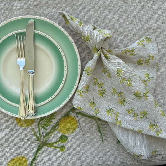 Acacia Karoo Linen Napkins - Set of 4